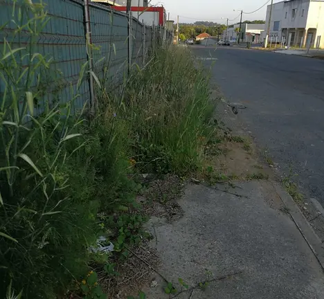 Pol&iacute;gono1